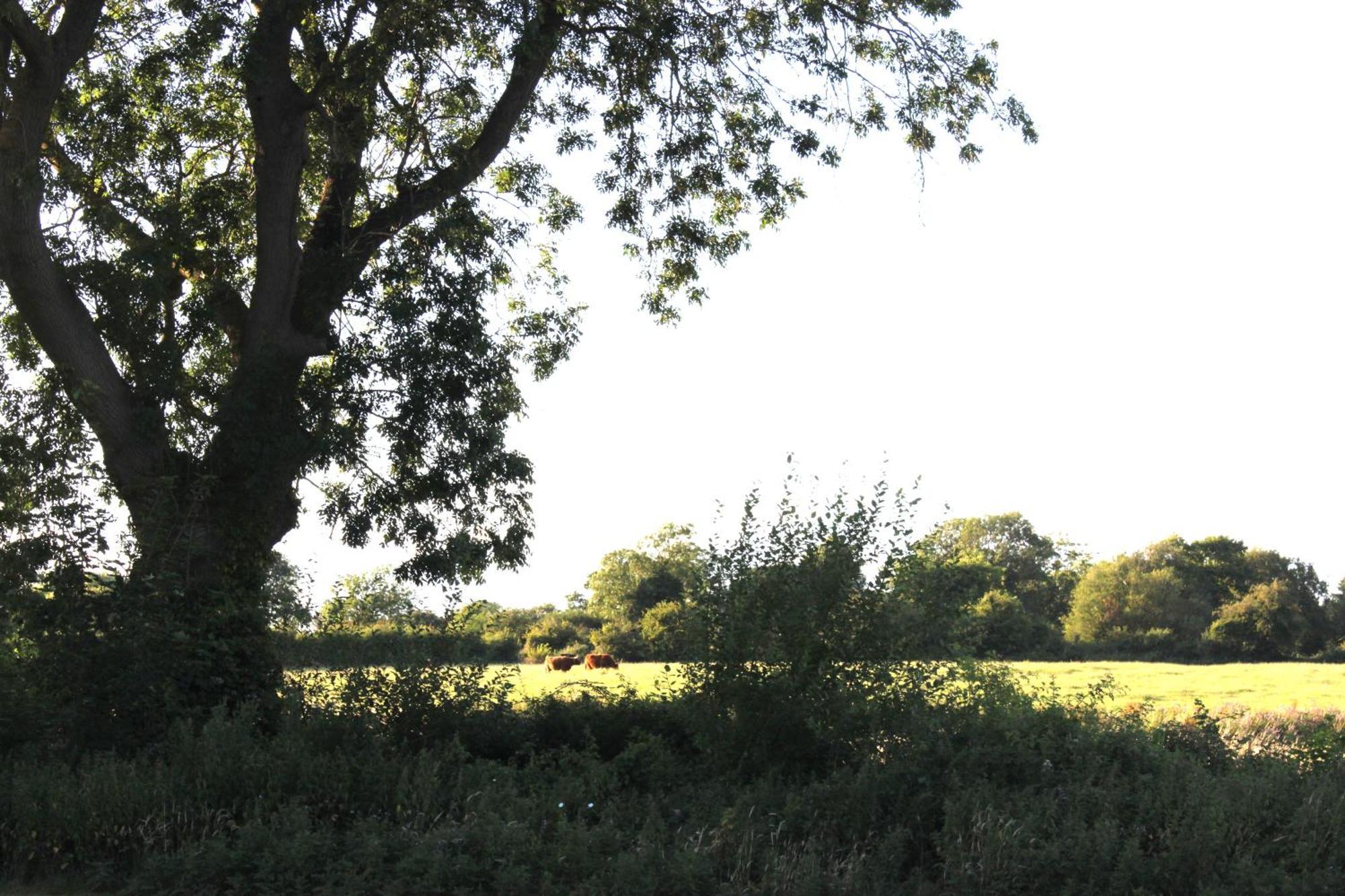 The Willowford Milton Keynes Extérieur photo